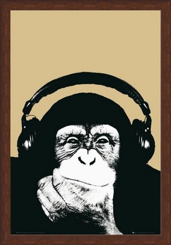 Framed Framed Monkey with Headphones - Steez