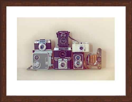 Framed Framed Camera Collection - Ian Winstanley