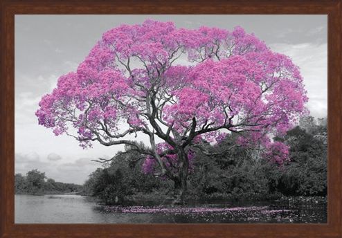 Framed Framed Tree In Bloom - Natural Pink