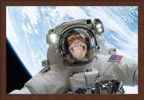 Framed Framed Out Of This World - Cheeky Chimp