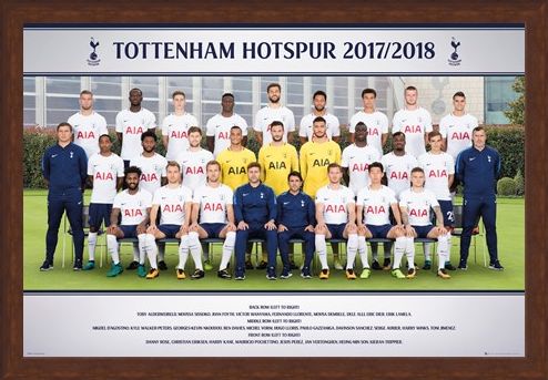 Framed Framed Photo 17-18 - Tottenham Team