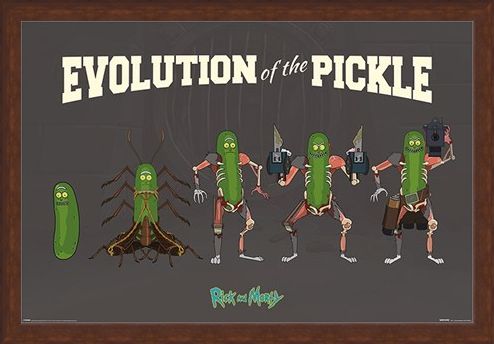 Framed Framed Evolution Of The Pickle - Rick and Morty