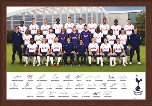 Framed Framed Team Poster 18-19 - Tottenham Hotspur
