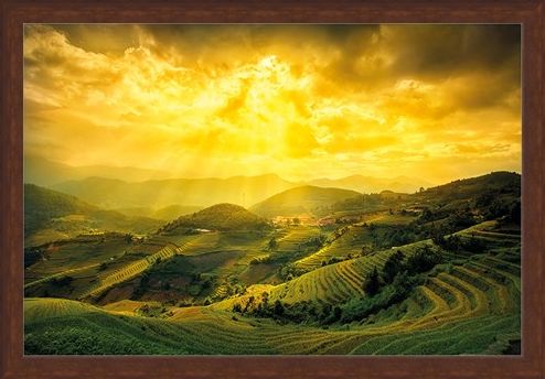 Framed Framed Rice Fields Of Yên Bái - Mountain Masterpiece