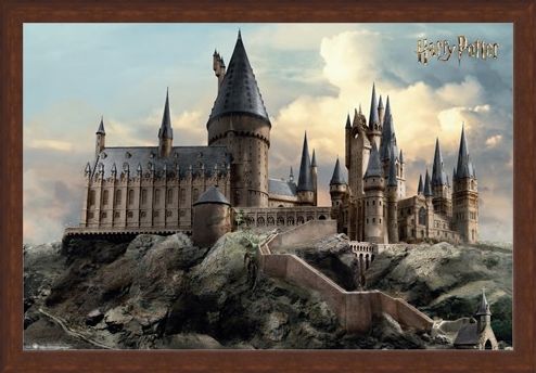 Framed Framed Hogwarts Day - Harry Potter