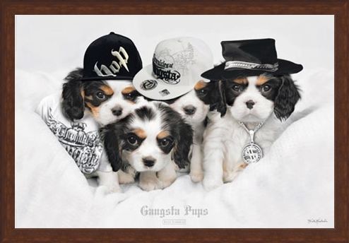 Framed Framed Gangsta Pups - Keith Kimberlin