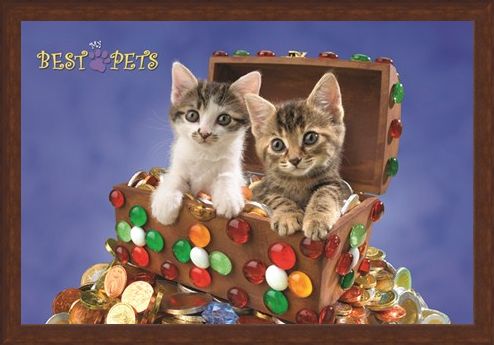 Framed Framed Kitten Treasure - My Best Pets