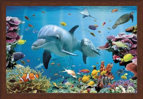 Framed Framed Underwater Dolphin Fantasy - Tropical Dolphins