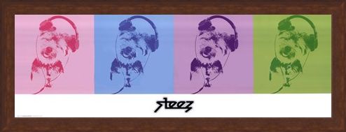 Framed Framed DJ Doggie Quad - Steez