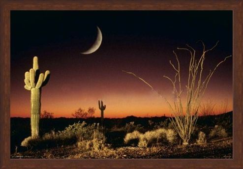 Framed Framed Desert Silhouette - Arizona Landscape