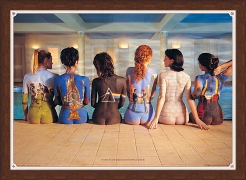 Framed Framed Back Catalogue Campaign Poster - Pink Floyd