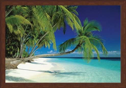 Framed Framed Maldives Beach and Sea - Palm Trees on a Tropical Island Paradise