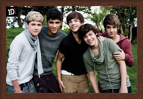 Framed Framed Beautiful Boys in the Garden - One Direction