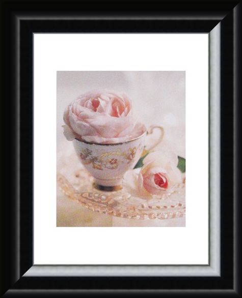 Framed Framed Pale Pink II - Lina Ricci