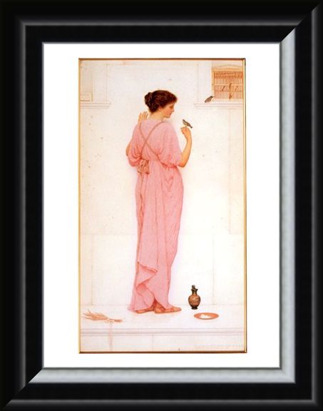 Framed Framed Song Birds - George Lawrence Bulleid