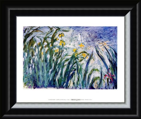 Framed Framed Campo Di Fiori Gialli - Claude Monet