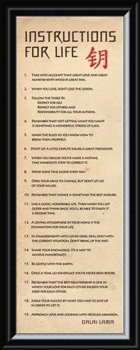 Framed Framed Instructions for Life - According to the Dalai Lama
