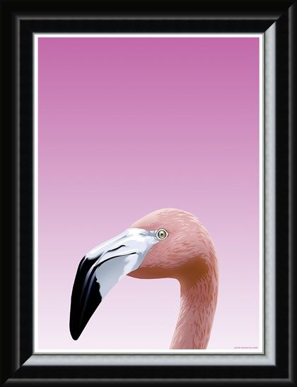 Framed Framed Flamboyant Flamingo - Inquisitive Creatures