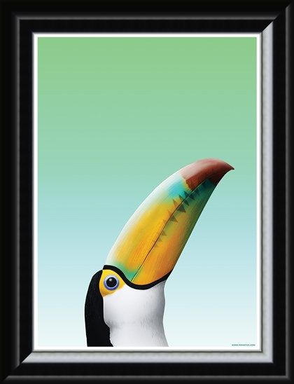 Framed Framed Toucan - Inquisitive Creatures