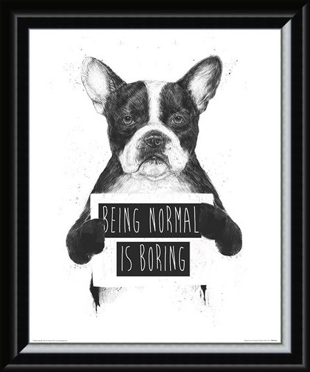 Framed Framed Being Normal Is Boring - Balazs Solti