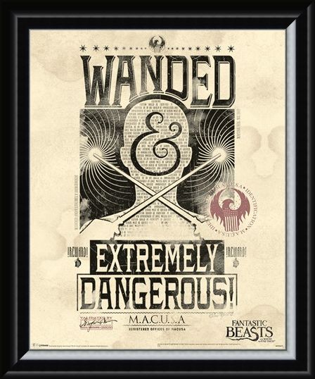 Framed Framed Extremely Dangerous - Fantastic Beasts