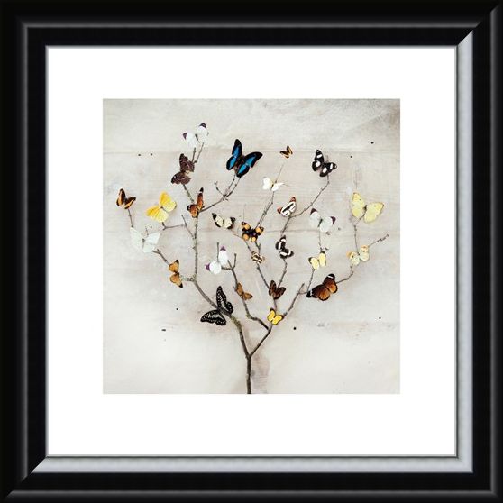 Framed Framed Tree of Butterflies - Ian Winstanley