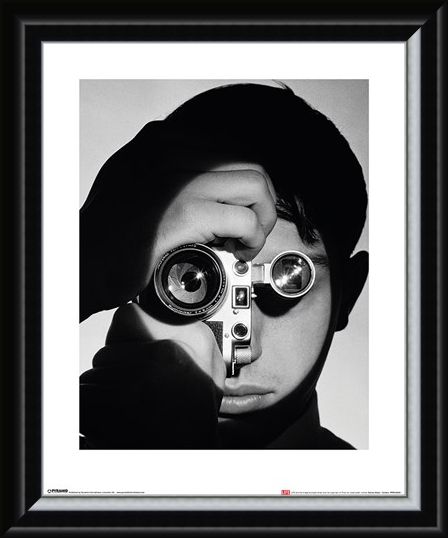 Framed Framed Dennis Stock - Camera - Time Life