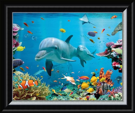 Framed Framed Tropical Ocean - Sea Creatures