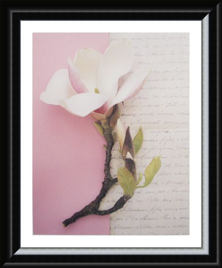 Framed Framed Emma's Garden Magnolia - Deborah Schenck