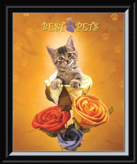 Framed Framed Cat amongst the Roses - My Best Pets