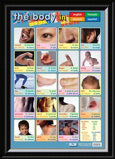 Framed Framed Body Parts - Language Guide