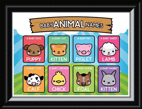 Framed Framed Baby Animal Names - Learning Is Fun