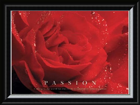 Framed Framed Rose Bloom - Passion, Inspirational