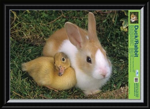 Framed Framed Best Friends - Duck And Rabbit