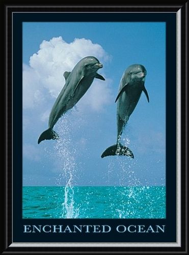 Framed Framed Dolphins Jumping - Enchanted Ocean