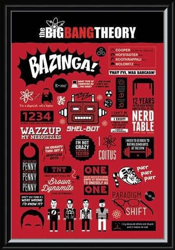 Framed Framed The Big Bang Theory Infographic - The Big Bang Theory