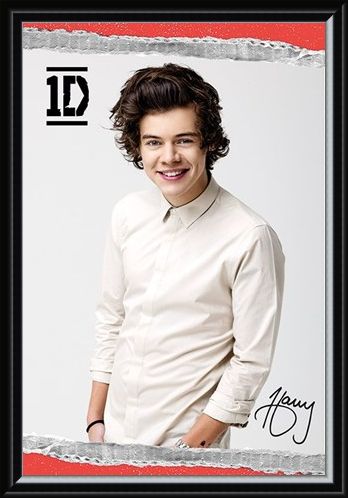 Framed Framed Harry - One Direction