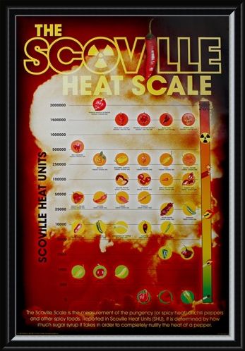 Framed Framed How Hot Can You Handle It? - The Scoville Heat Scale