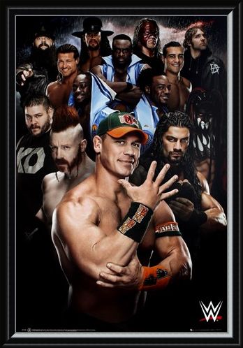 Framed Framed Superstars 2016 - WWE