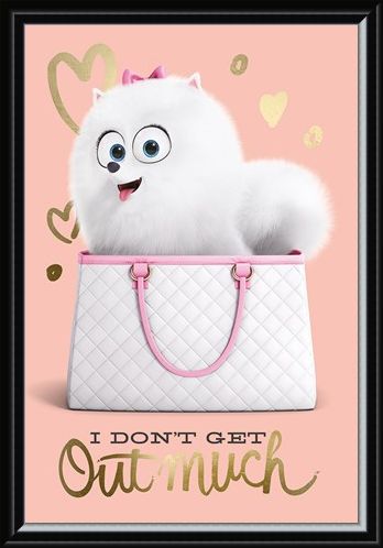 Framed Framed I Don't Get Out Much - The Secret Life Of Pets