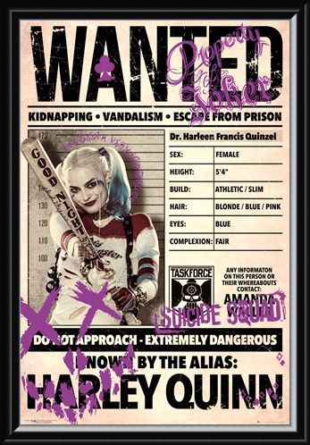 Framed Framed Harley Wanted - Suicide Squad