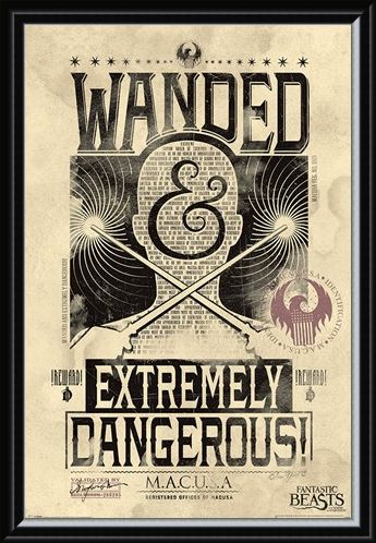 Framed Framed Extremely Dangerous - Fantastic Beasts