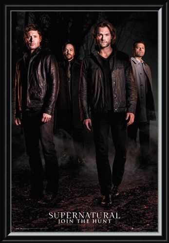Framed Framed Season 12 - Supernatural