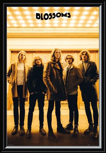 Framed Framed Band Line-up - The Blossoms