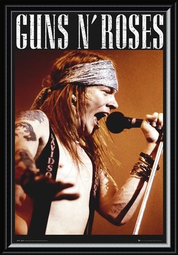 Framed Framed Guns N Roses - Axel Rose