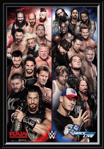 Framed Framed Raw vs Smackdown - WWE