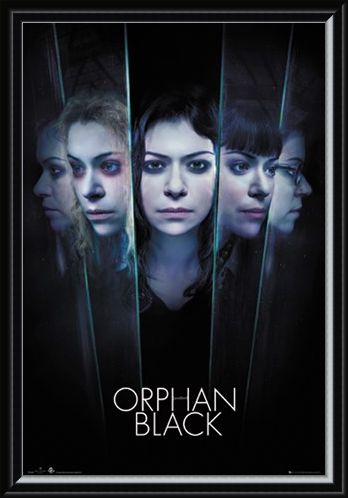Framed Framed Faces - Orphan Black