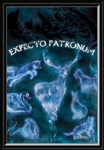 Framed Framed Expecto Patronum - Harry Potter