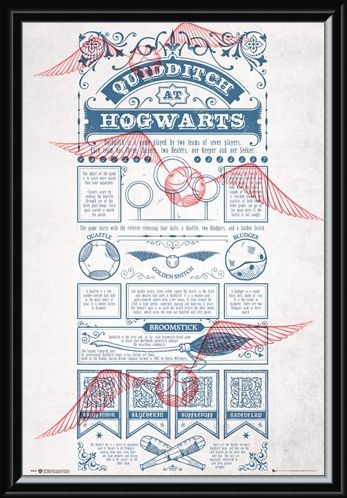 Framed Framed Rough Game, Quidditch - Harry Potter