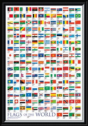 Framed Framed Flags Of The World - Educational